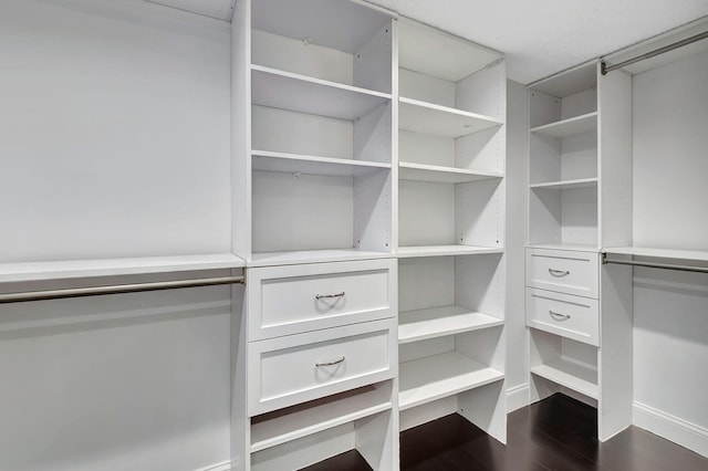 walk in closet featuring hardwood / wood-style floors