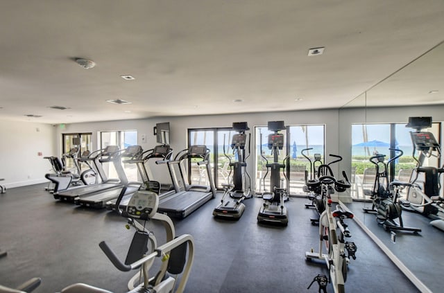 gym featuring a wealth of natural light