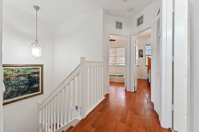 hall featuring wood-type flooring