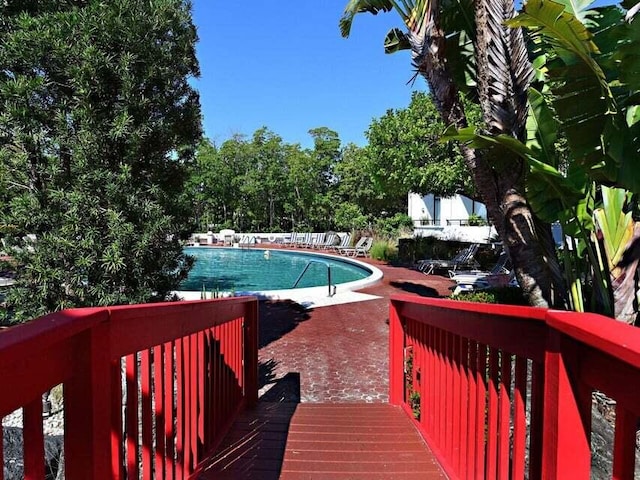 view of swimming pool featuring a patio