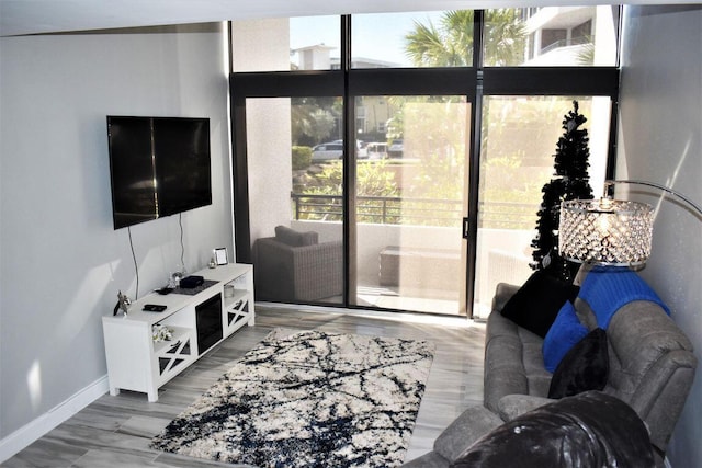 living room with hardwood / wood-style floors