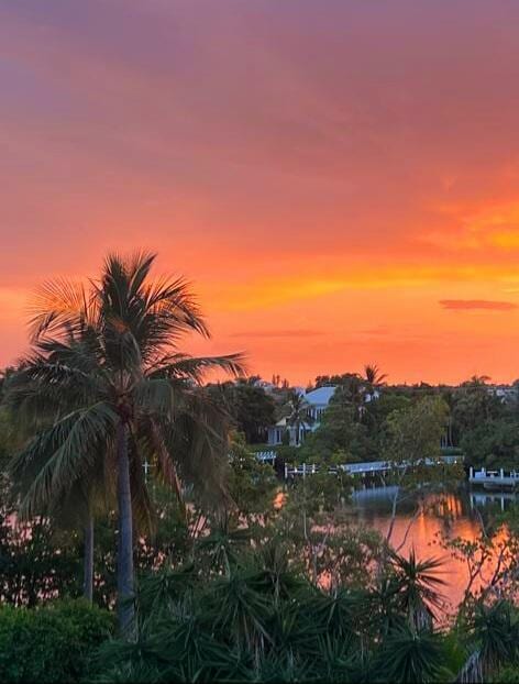 nature at dusk with a water view