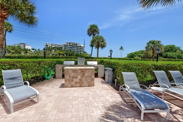 view of patio / terrace with grilling area and an outdoor kitchen