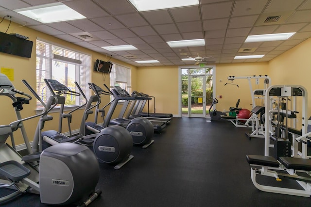 workout area with ceiling fan, a healthy amount of sunlight, and a paneled ceiling