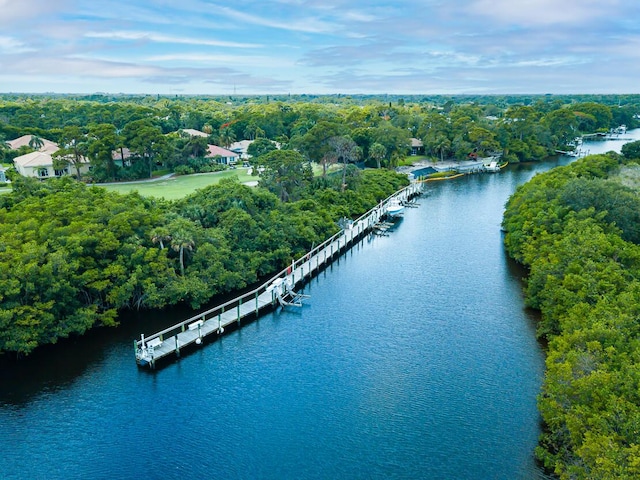 drone / aerial view with a water view and a wooded view