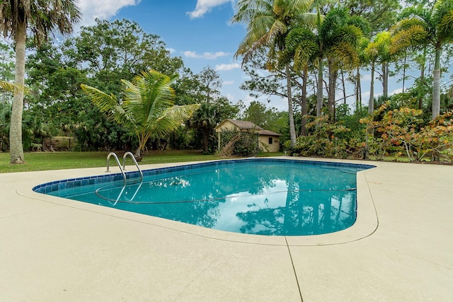 view of swimming pool with a yard and a patio