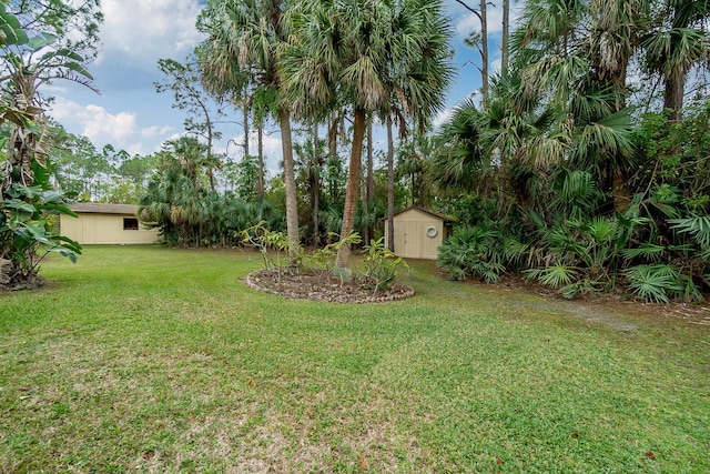 view of yard with a storage shed