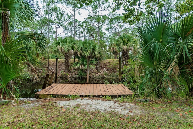 view of yard featuring a boat dock