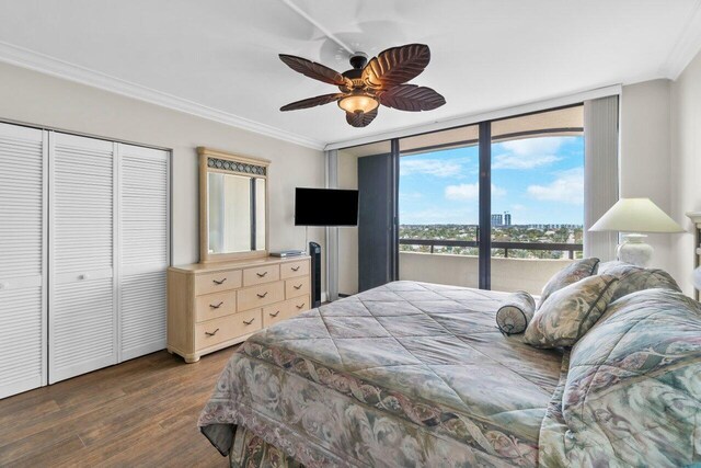 bedroom featuring hardwood / wood-style floors, ornamental molding, ceiling fan, a closet, and expansive windows