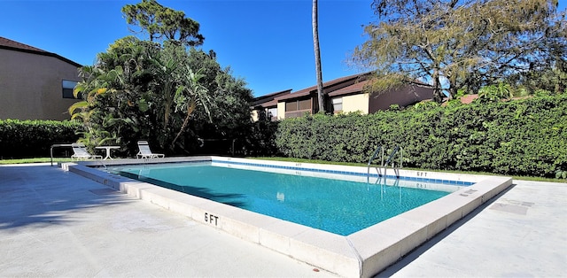 view of pool with a patio