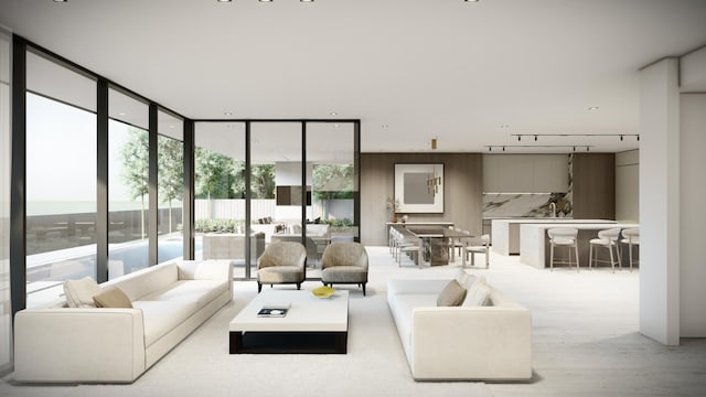 living room featuring light hardwood / wood-style floors, expansive windows, and track lighting