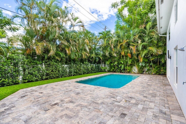 view of pool featuring a patio area