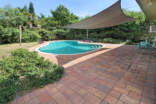 view of swimming pool featuring a patio area