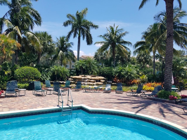 view of swimming pool with a patio