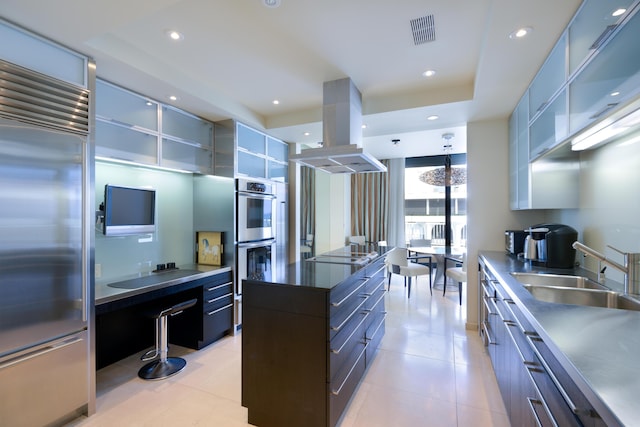 kitchen with sink, stainless steel appliances, island range hood, a kitchen island, and a raised ceiling