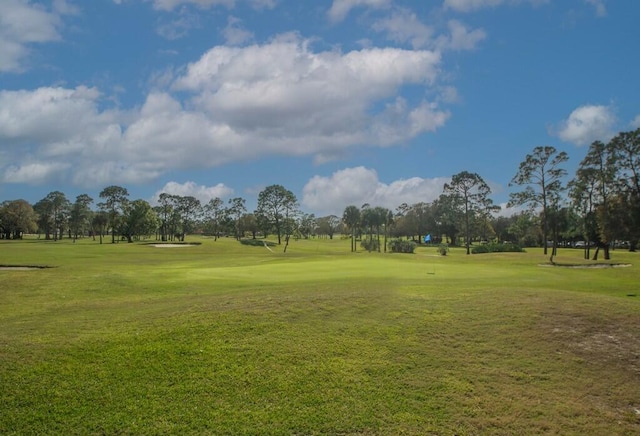 view of community with a lawn