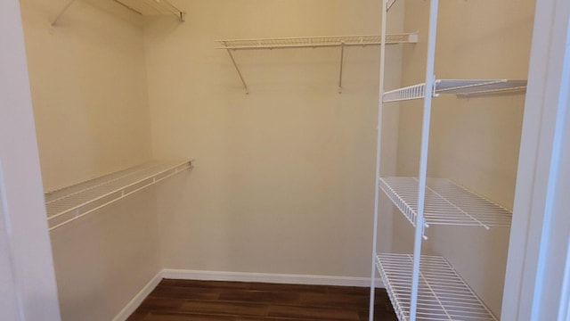 walk in closet featuring dark wood finished floors