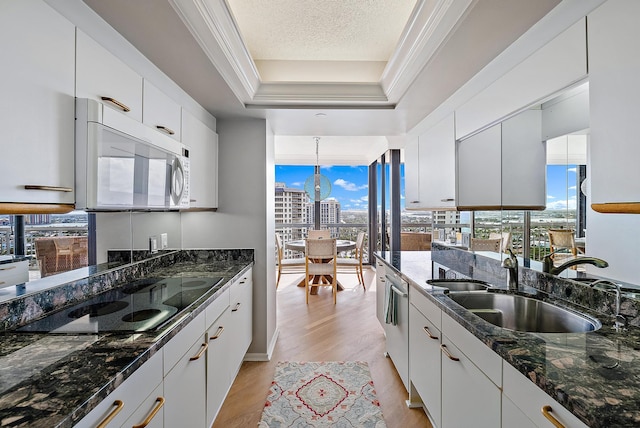 kitchen with white cabinetry, black electric cooktop, and light hardwood / wood-style flooring