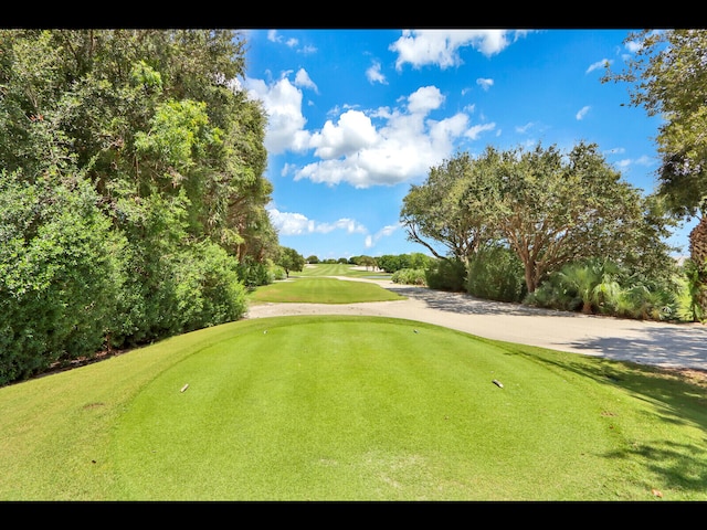 surrounding community featuring a yard