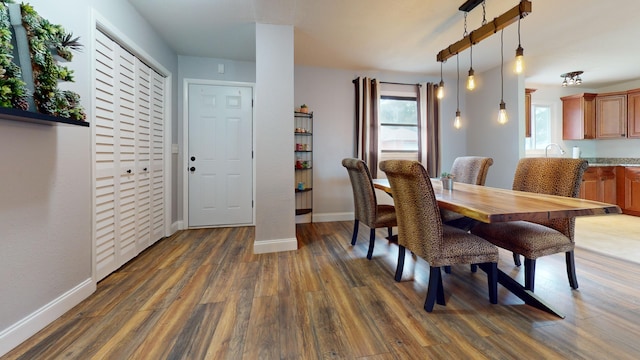 dining room with dark wood-type flooring