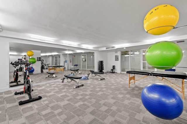 workout area featuring carpet flooring