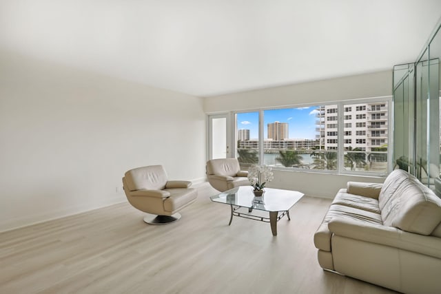 living room featuring light hardwood / wood-style flooring