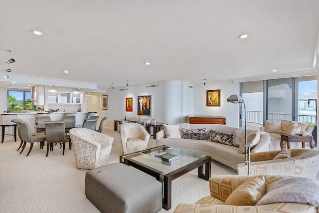 carpeted living room featuring plenty of natural light