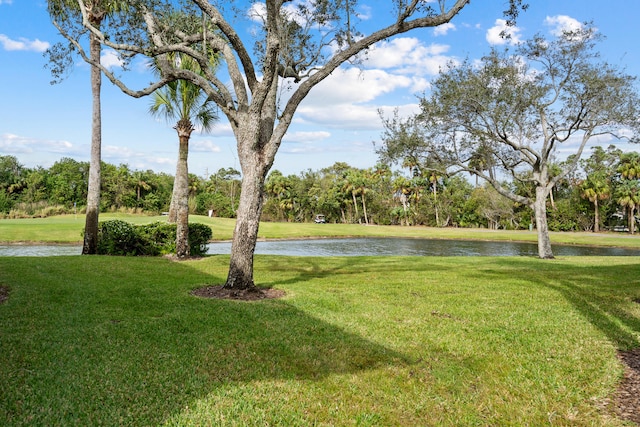 view of yard featuring a water view