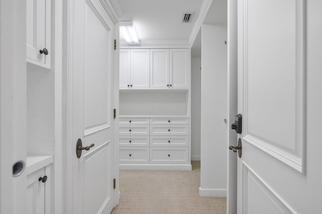 spacious closet with light colored carpet