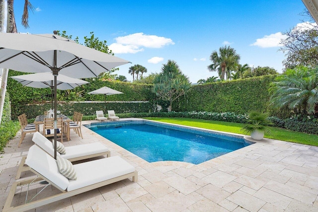 view of swimming pool featuring a patio and a lawn