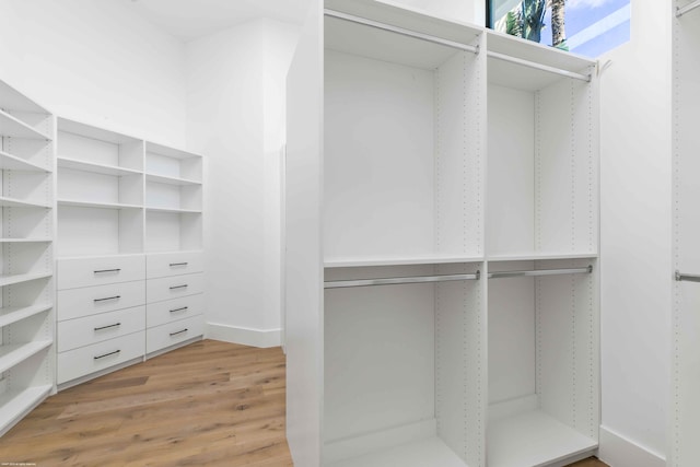 spacious closet featuring light hardwood / wood-style flooring