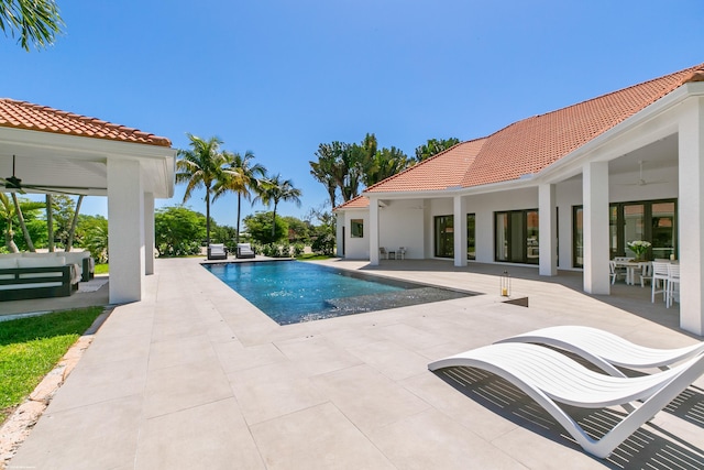 view of swimming pool with a patio area and ceiling fan