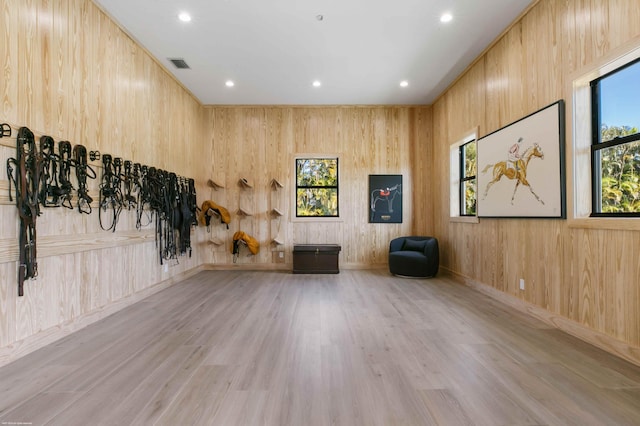 interior space with wood walls, light wood-type flooring, and plenty of natural light