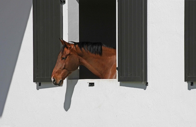 view of stable