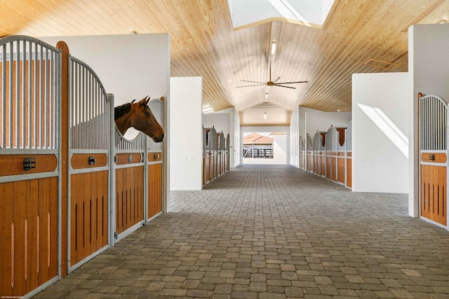 view of stable