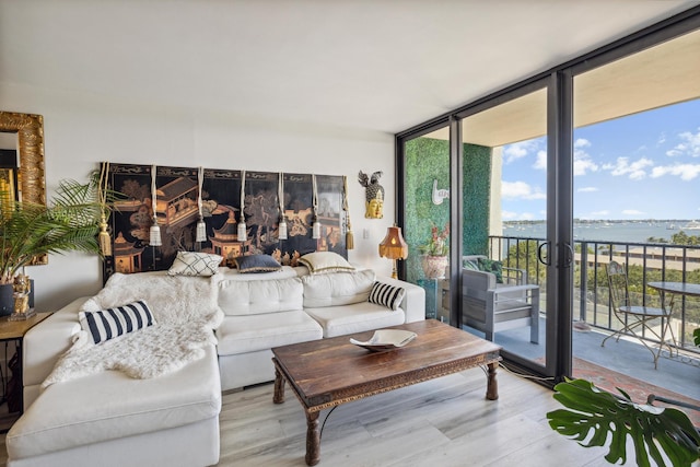 living room with expansive windows and light hardwood / wood-style floors