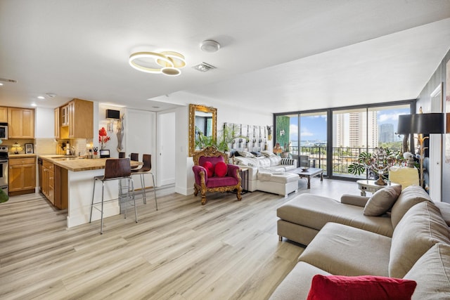 living room featuring expansive windows, sink, and light wood-type flooring