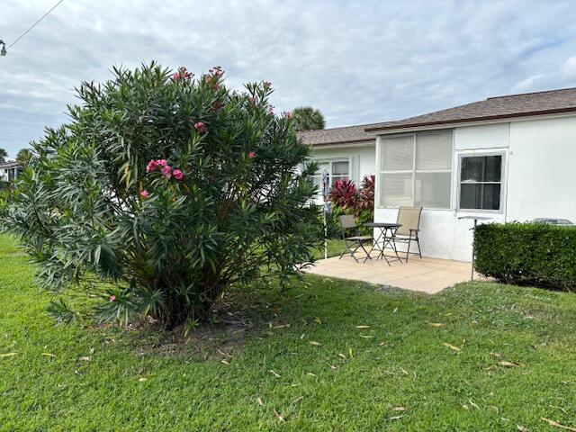 view of yard featuring a patio area