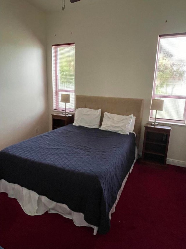 bedroom featuring dark carpet and multiple windows