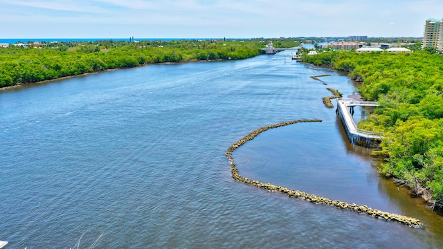 bird's eye view with a water view