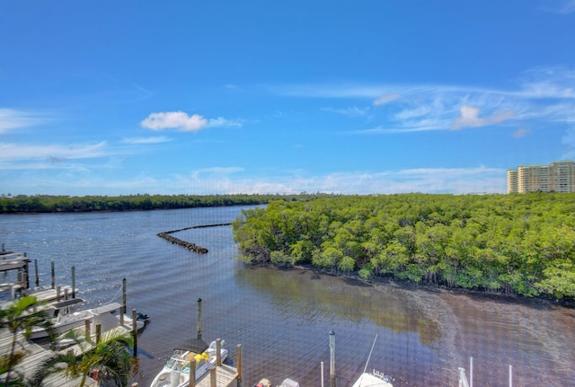 water view with a boat dock