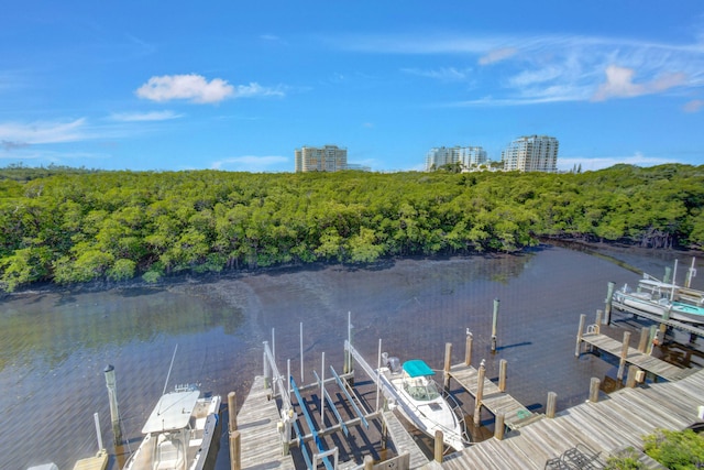 dock area with a water view