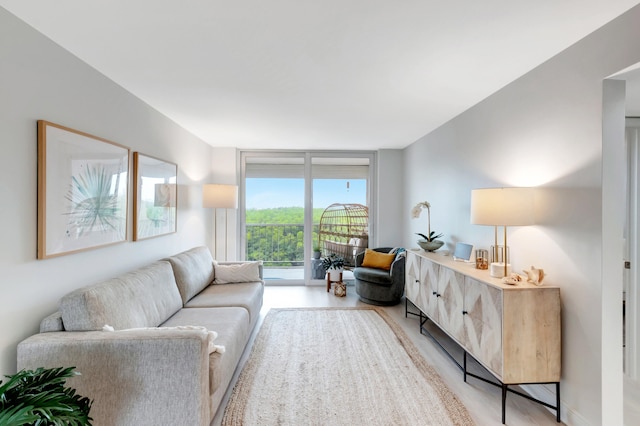 living room with light hardwood / wood-style flooring