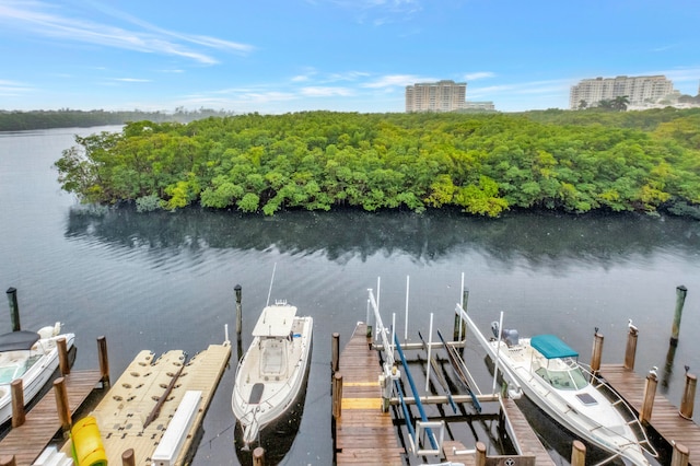 view of dock with a water view