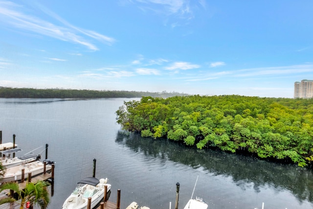 dock area with a water view