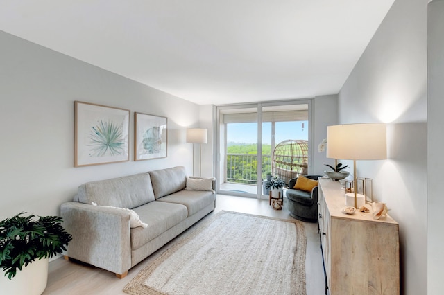 living room featuring light hardwood / wood-style floors