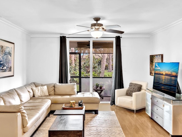 living room featuring crown molding, ceiling fan, and light hardwood / wood-style flooring