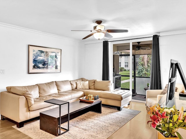 living room featuring light hardwood / wood-style floors, ceiling fan, and ornamental molding