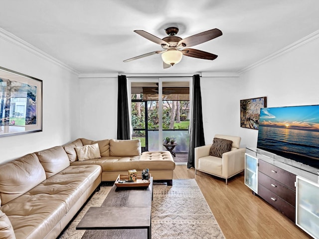 living room with crown molding, ceiling fan, and light wood-type flooring