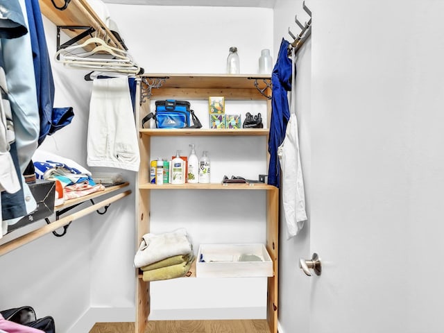 spacious closet with light wood-type flooring